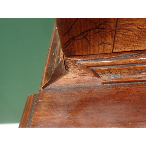 635 - An early 19th Century mahogany Secretaire Bookcase, the fitted drawer with oval inlaid decoration, o... 