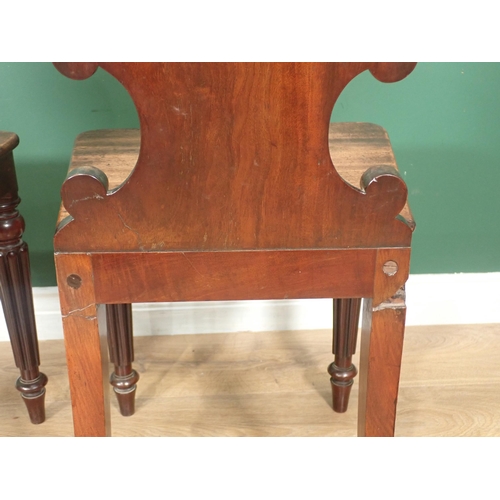 651 - A pair of 19th Century mahogany Hall Chairs with carved and shaped backs and raised on reeded taperi... 