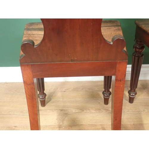 651 - A pair of 19th Century mahogany Hall Chairs with carved and shaped backs and raised on reeded taperi... 