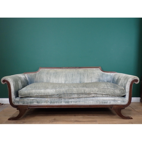 738 - A Regency style Sofa with reeded and carved top rail, scrolled arms on sabre supports, lacks brass c... 