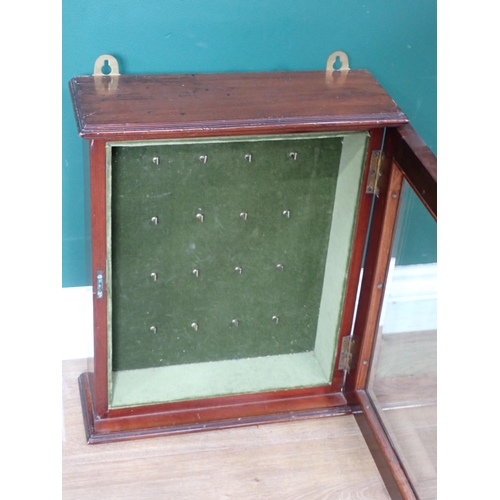 725 - A 19th Century mahogany Estate Key Cabinet with bevelled glass cupboard door 1ft 4in H x 1ft 1in W