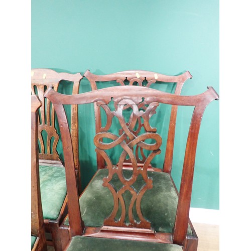 705 - A Harlequin set of eight Georgian mahogany Dining Chairs with shaped top rails, pierced splat backs,... 