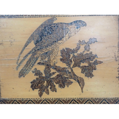 539 - A Tunbridge ware Sewing Box, the cover with a design of a peregrine falcon on a branch with floral b... 