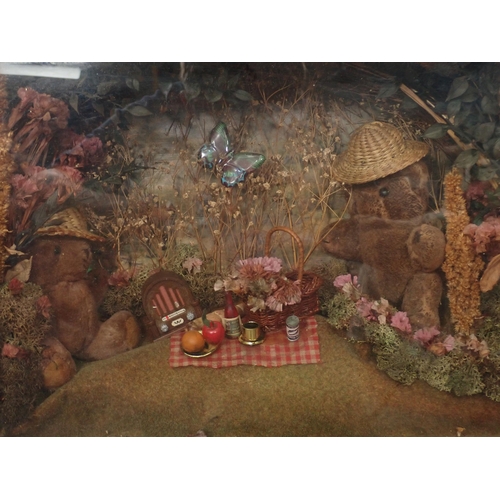 15 - Three diorama Cases depicting teddy bear picnics, 11 x 16in