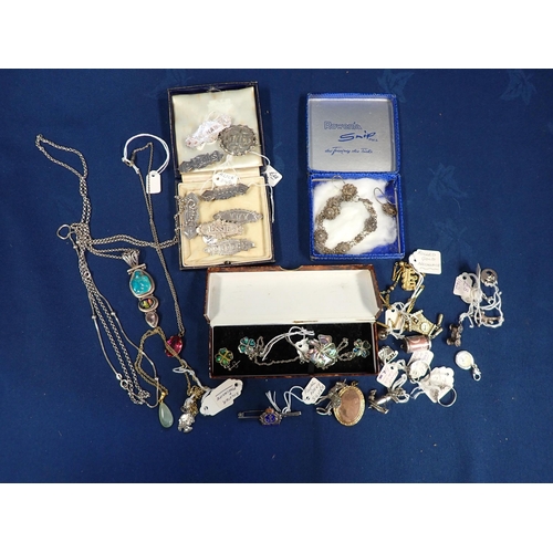 202 - Eight various Victorian and Edwardian silver name Brooches together with a collection of; Charms, Pe... 