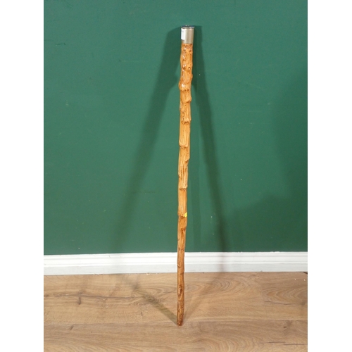 796 - A Cabbage stick Walking Cane 