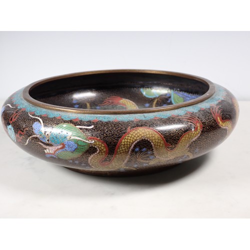 298 - A Cloisonne shallow Bowl, with dragon designs, 12in Diam