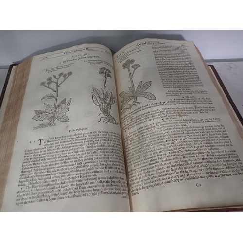 567 - GERARDE John, The Herball or General Histoire of Plantes, gathered by John Gerarde of London, Master... 