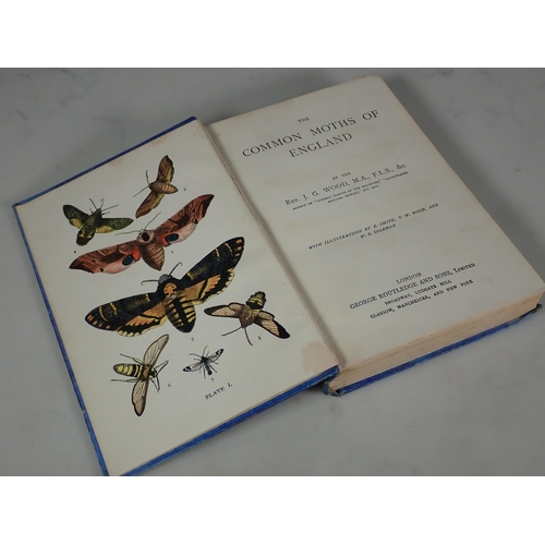 644 - Brown, Thomas Captain; The Book of Butterflies & Moths, published by George Routledge, London 1843 t... 