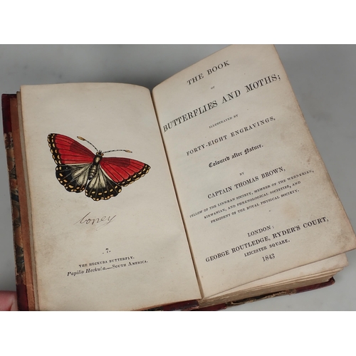 644 - Brown, Thomas Captain; The Book of Butterflies & Moths, published by George Routledge, London 1843 t... 