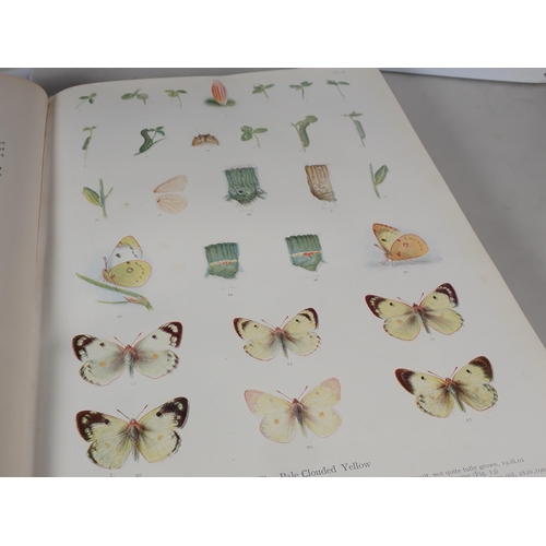 651 - Frohawk, F.W.; Natural History of British Butterflies, Hutchinson & Co. 1925 with reproduction dust ... 