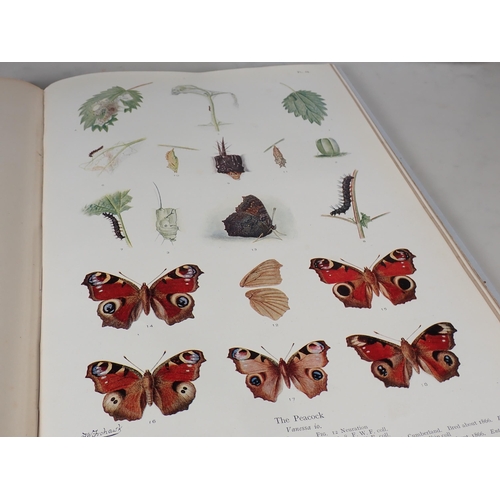 651 - Frohawk, F.W.; Natural History of British Butterflies, Hutchinson & Co. 1925 with reproduction dust ... 