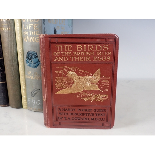 656 - Three boxes of Books on Ornithology and Natural History including Kearton, Richard, Nature's Carol S... 