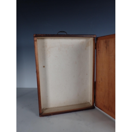 661 - An antique stained pine Lepidopterist's Setting Cabinet with gauze cupboard door enclosing cork line... 