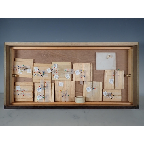 668 - An oak and glazed Lepidopterist's Cabinet fitted fifteen drawers containing a collection of British ... 