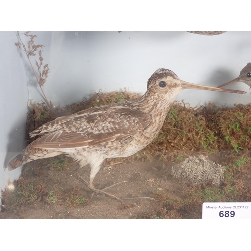 689 - An antique ebonised and glazed taxidermy Case displaying two Common Snipe and a Green Sandpiper on g... 