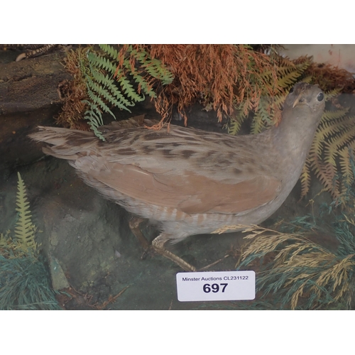 697 - A Victorian oak and glazed taxidermy Case displaying a Long-eared Owl, Corncrake, Grey Partridge, pa... 