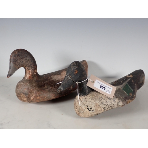 829 - Two old carved and painted Continental Duck Decoys of a drake Shoveler and a female Wigeon