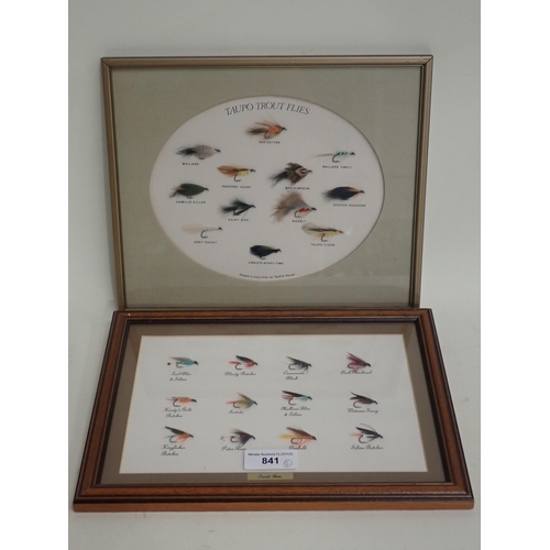 841 - Two framed Displays of Salmon and Sea Trout Flies