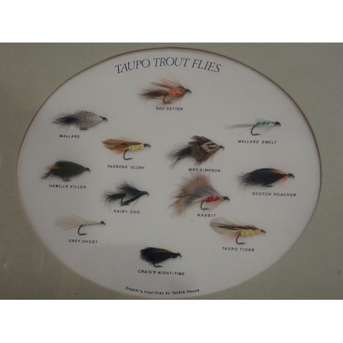 841 - Two framed Displays of Salmon and Sea Trout Flies