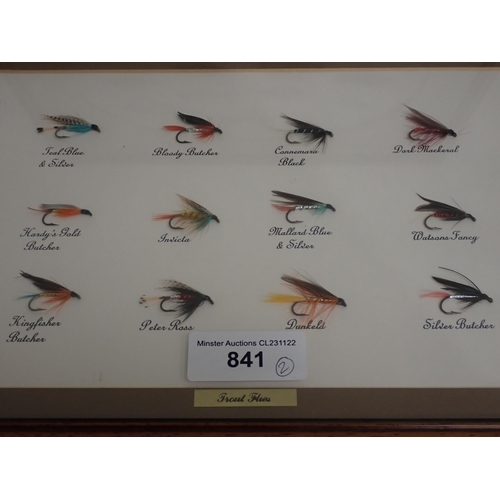 841 - Two framed Displays of Salmon and Sea Trout Flies