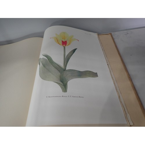 601 - DYKES W.R., Notes on Tulip Species, edit E. Katherine Dykes, into by Sir A. Daniel Hall, pub Herbert... 