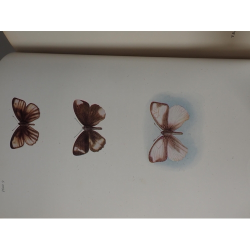 642A - Frohawk, F.W.; Varieties of British Butterflies- A Selection of Rare and Interesting Specimens of Ab... 