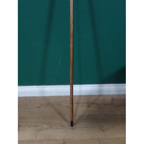 137 - A hazel Walking Stick with carved and painted Mute Swan handle initialled 'B.M.' 4ft 2in L