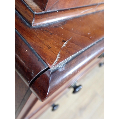 339 - A Victorian mahogany Linen Press fitted pair of cupboard doors above two short and two long drawers ... 