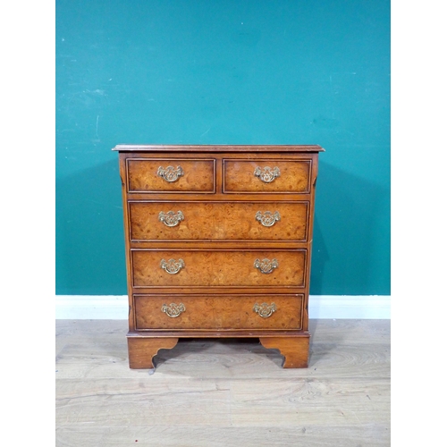 347 - A reproduction burr walnut Chest of two short, three long drawers on bracket feet. 2ft 4in H x 2ft W... 