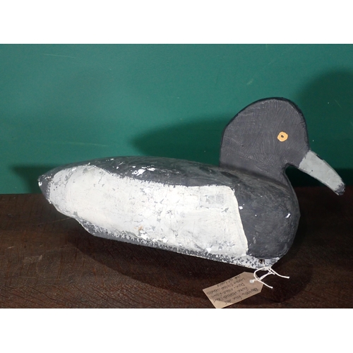 363 - A painted foam Tufted Duck decoy 1ft 4in L