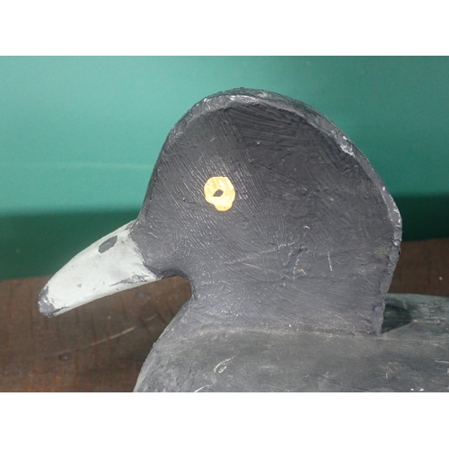 363 - A painted foam Tufted Duck decoy 1ft 4in L