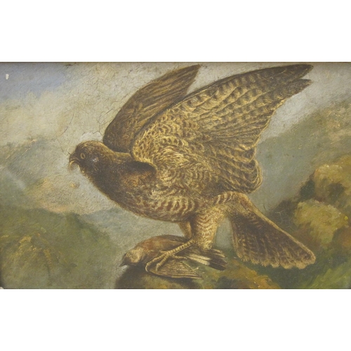 418 - ENGLISH SCHOOL, Late 19th Century. Merlin with red-backed Shrike; and Merlin with Wheatear , oil on ... 