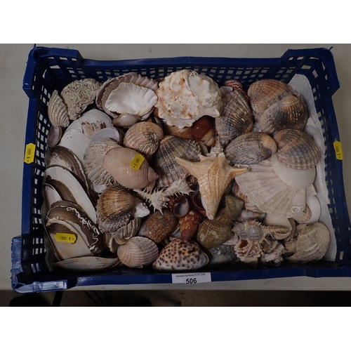 506 - A tray of Sea Shells