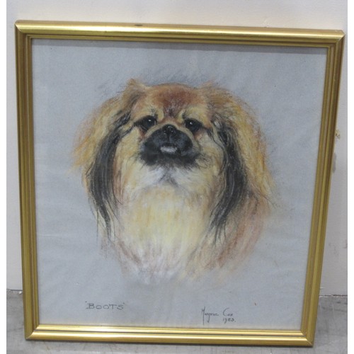 427 - MARJORIE COX. Study of 'Boots', a Pekinese dog, signed and dated 1983, pastel, 18 x 15in; together w... 