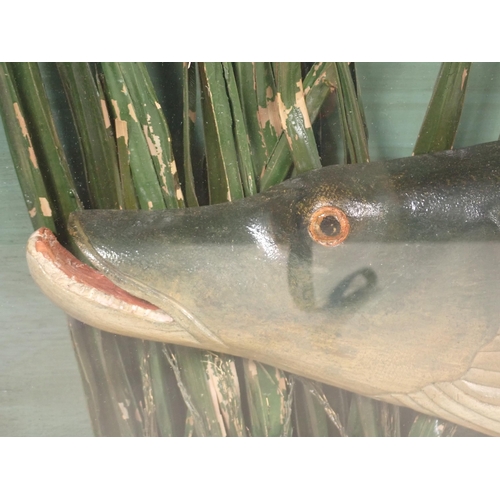 315 - An antique carved and painted Model of a Pike within an ebonised and glazed case with painted inscri... 