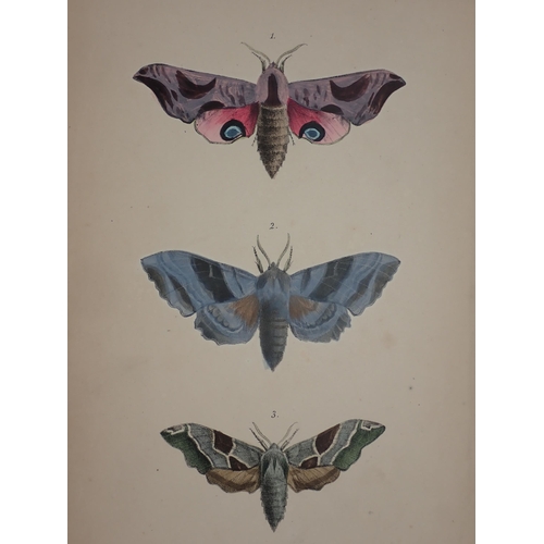 57 - Morris, Rev, F.O.; A Natural History of British Moths, 4 Vols, Bell and Dandy, Covent Garden 1872