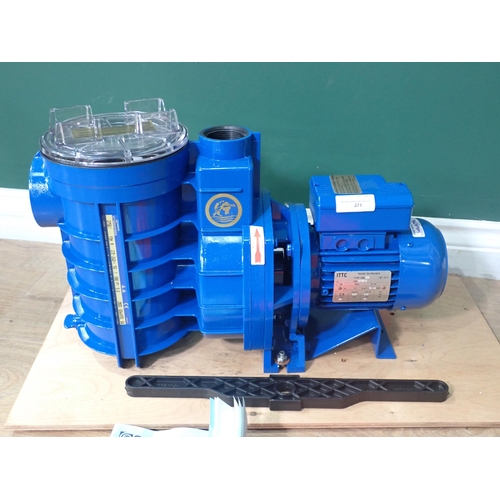 371 - A Goulds EC Series Swimming Pool Pump