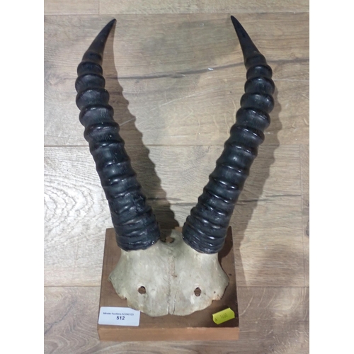 512 - A set of Red Hartebeest Horns