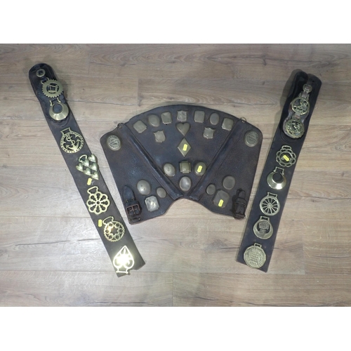 513 - A leather Breast Plate and two leathers with Horse Brasses