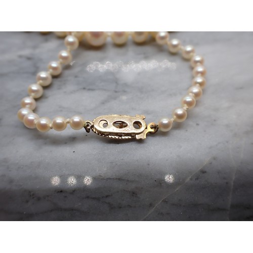 157 - A single row of MIKIMOTO graduated Cultured Pearls on 9ct gold clasp with Mikimoto logo, approx 50cm... 