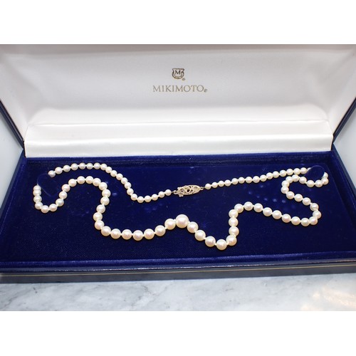 157 - A single row of MIKIMOTO graduated Cultured Pearls on 9ct gold clasp with Mikimoto logo, approx 50cm... 