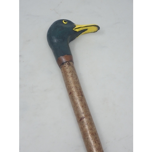 20 - A hazel Walking Stick with carved and painted drake Mallard handle 4ft 5in L