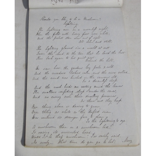 412 - An album c.1835 with handwritten cookery recipes and medical potions ,and verses,  inscribed in pen ... 