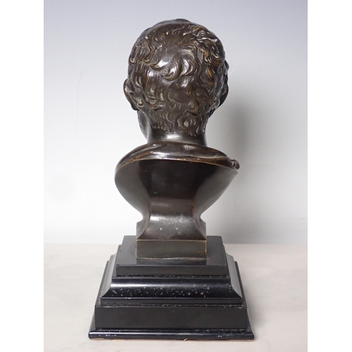 217 - A bronze Bust of a bearded Man mounted on a stepped ebonised base, 8in H overall