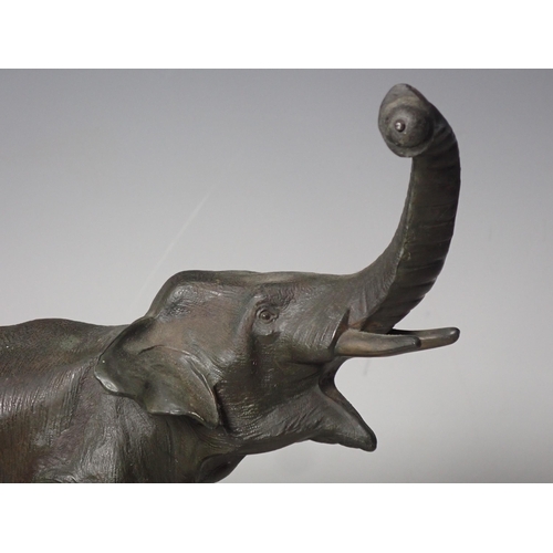 269 - A spelter model of an elephant on oval wooden base, 9in and a pair of wooden Dumbbells