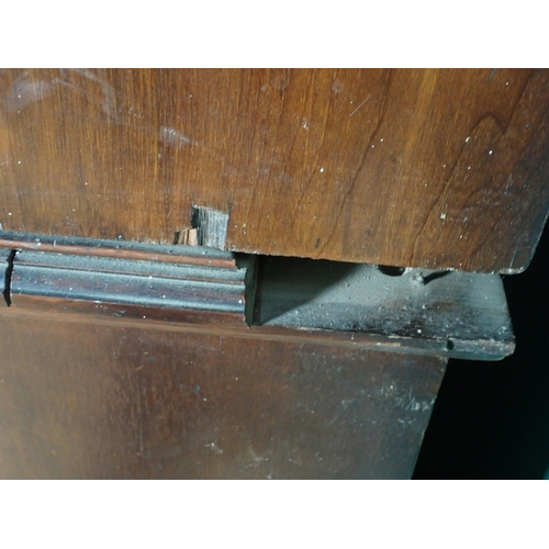 388 - A mahogany Bookcase the glazed top above a pair of panelled doors on plinth base, 7ft 7