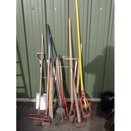 590 - A quantity of Garden Tools.