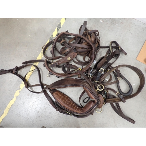 599 - A bag of horse harnesses