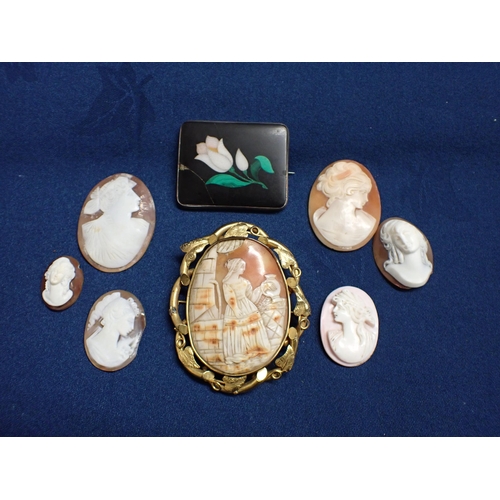 178 - A carved shell Cameo Brooch of maiden with urn in gilt metal frame, six loose carved shell Cameos an... 